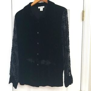 The Limited Silk Blend Ladies Shirt